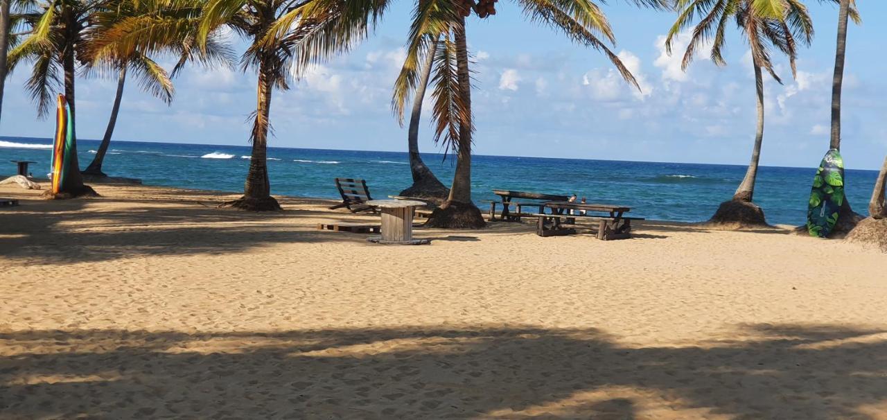 Puntacana Ecolodge Lavacama Beach Costa Arrecife By Aa Crypto Group Punta Cana Esterno foto
