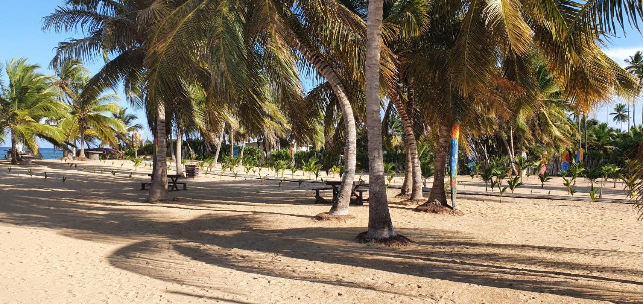 Puntacana Ecolodge Lavacama Beach Costa Arrecife By Aa Crypto Group Punta Cana Esterno foto
