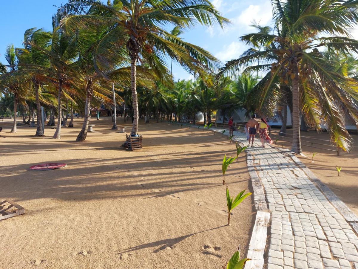 Puntacana Ecolodge Lavacama Beach Costa Arrecife By Aa Crypto Group Punta Cana Esterno foto